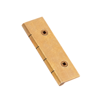 Dummy Hinge (Pair of) with Pozi Screws