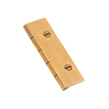 Dummy Hinge (Pair of) with Slotted Screws