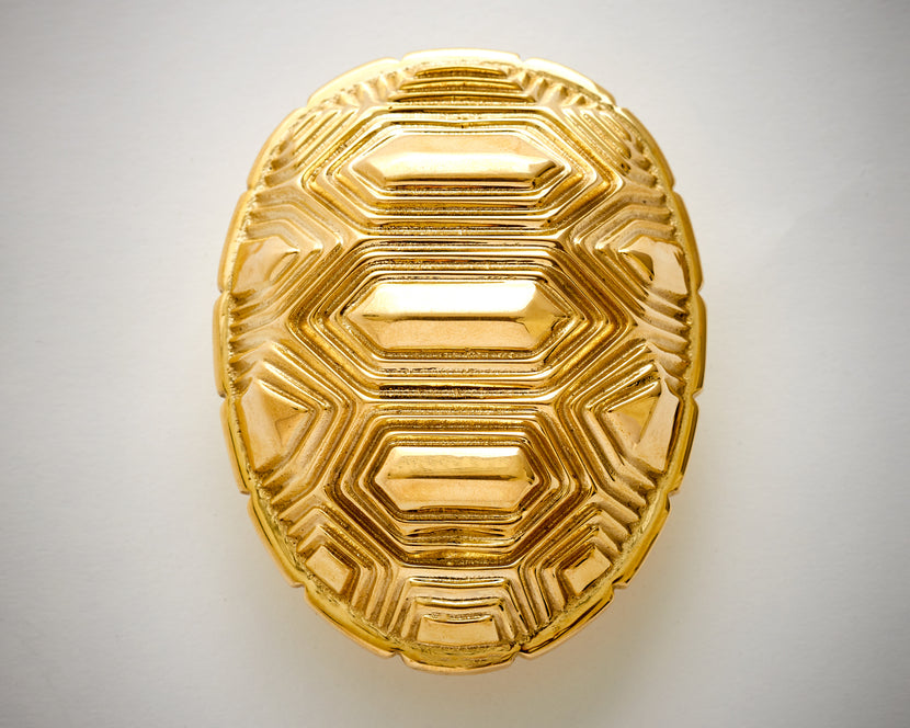 Tortoise