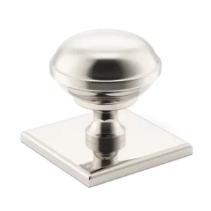 Polished Nickel Plate